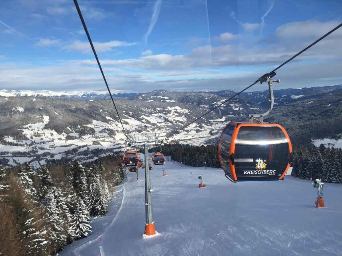 Alpenferienhaus Sophia Sankt Lorenzen ob Murau Bagian luar foto