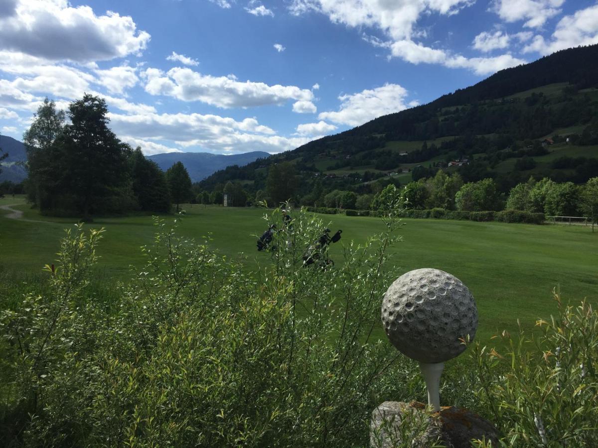 Alpenferienhaus Sophia Sankt Lorenzen ob Murau Bagian luar foto