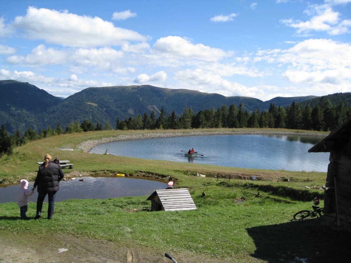Alpenferienhaus Sophia Sankt Lorenzen ob Murau Bagian luar foto