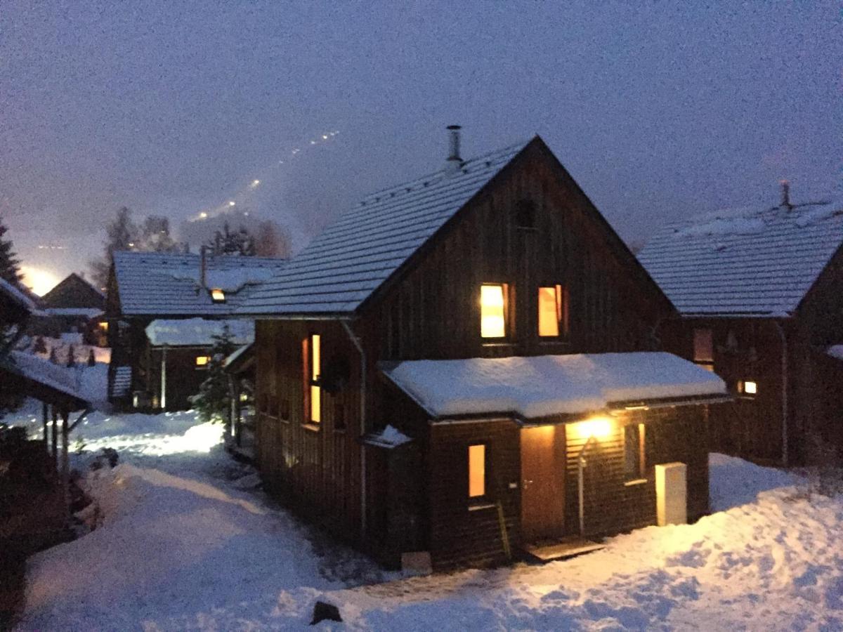 Alpenferienhaus Sophia Sankt Lorenzen ob Murau Bagian luar foto